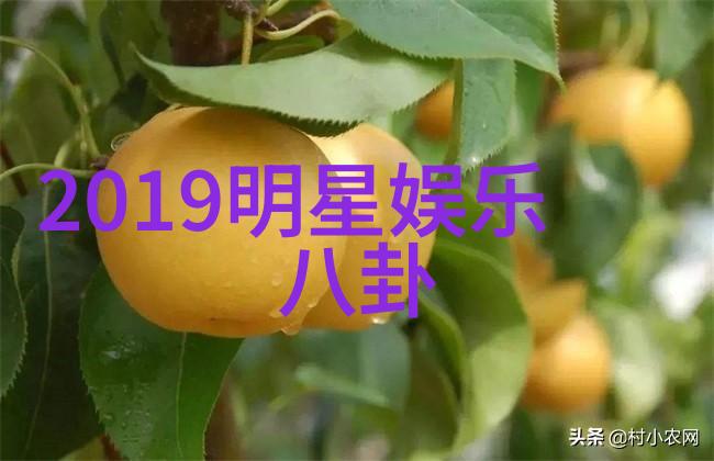 神马电影银幕上的宇宙奇遇