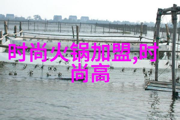 如何深入理解八卦原理一本指南书教你运用八卦