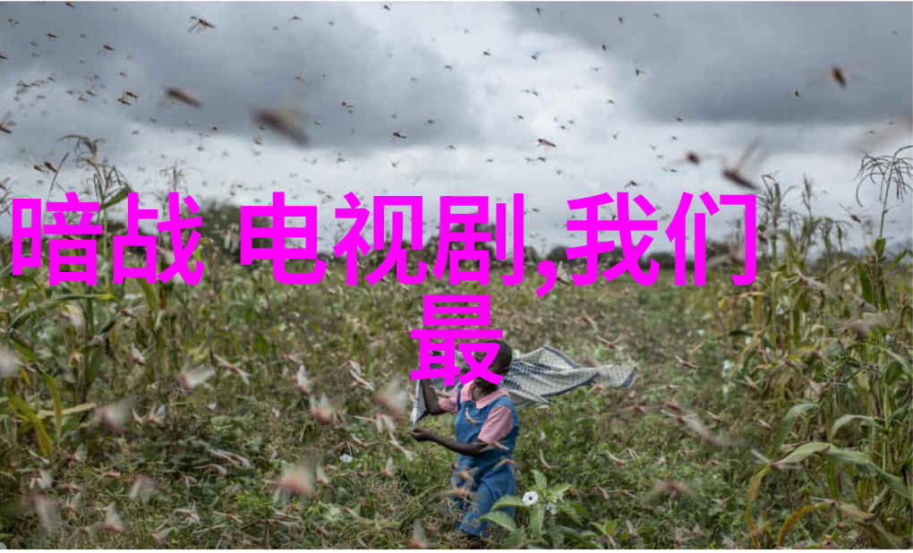 300501-数字之韵解读300501在现代生活中的独特魅力