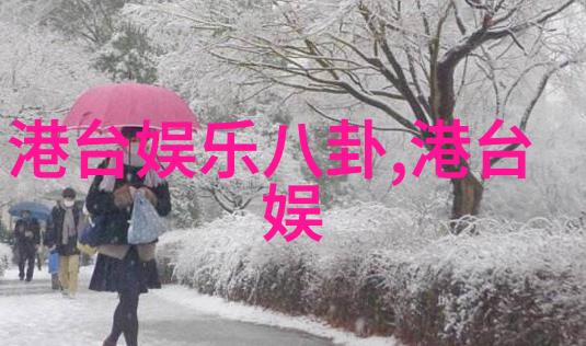 用户在使用影视仓时会面临哪些隐私和安全问题