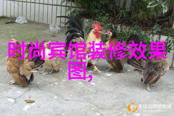八卦图揭秘先天中天后天的笑话与玄机