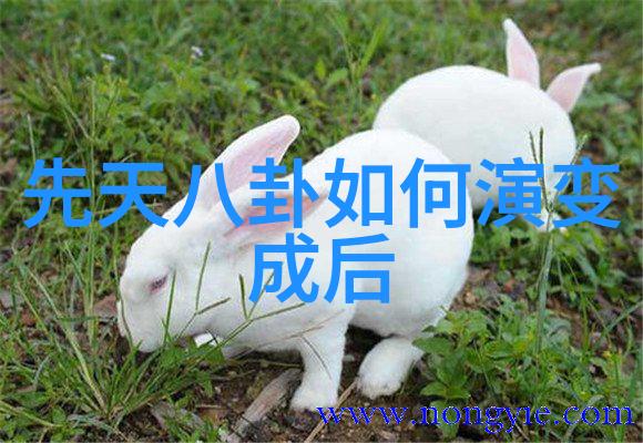 EXO成员KAI新迷你专辑Peaches包含嘻哈曲风的歌曲我要下载音乐放在我的物品里