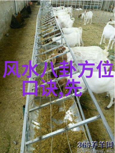黄晓明与安琪拉Baby官方宣布离婚双方展开新篇章