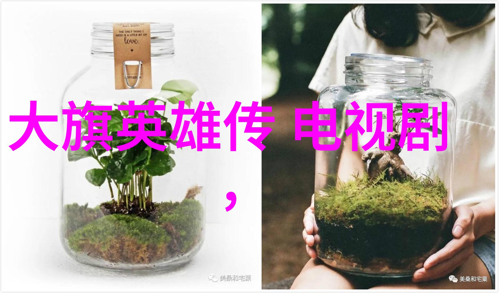 少女免费观看完整电视电影网络影视资源搜索平台
