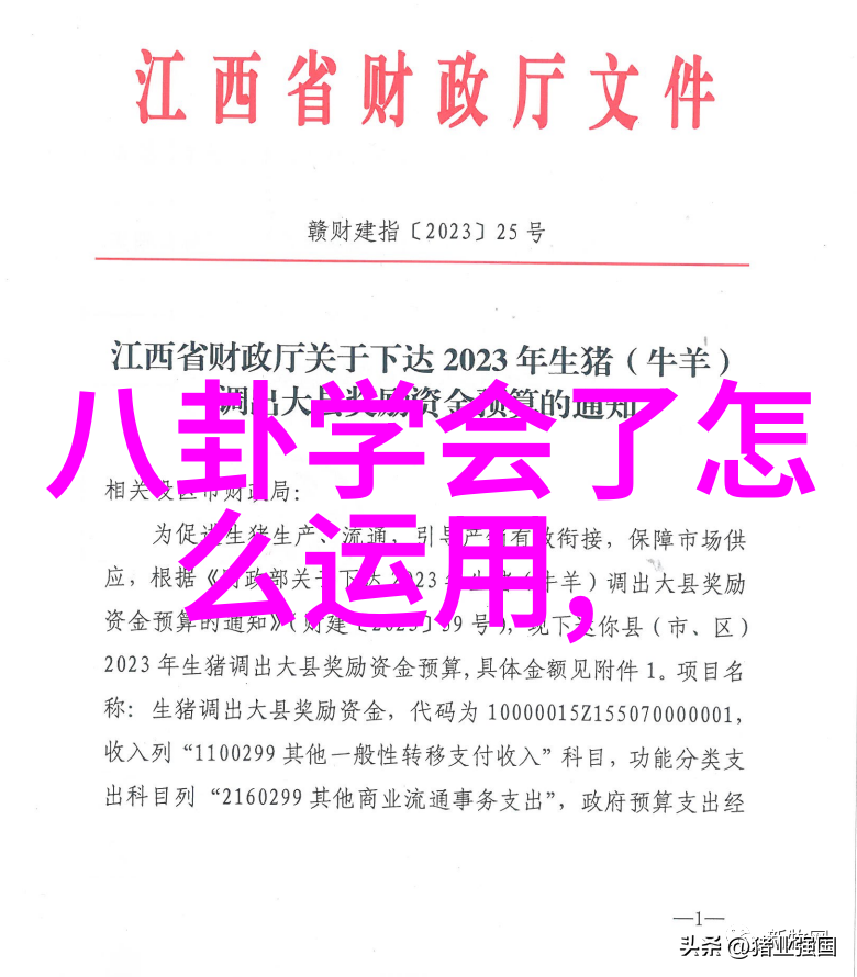 张筱雨写真展探索人物与环境的和谐之美