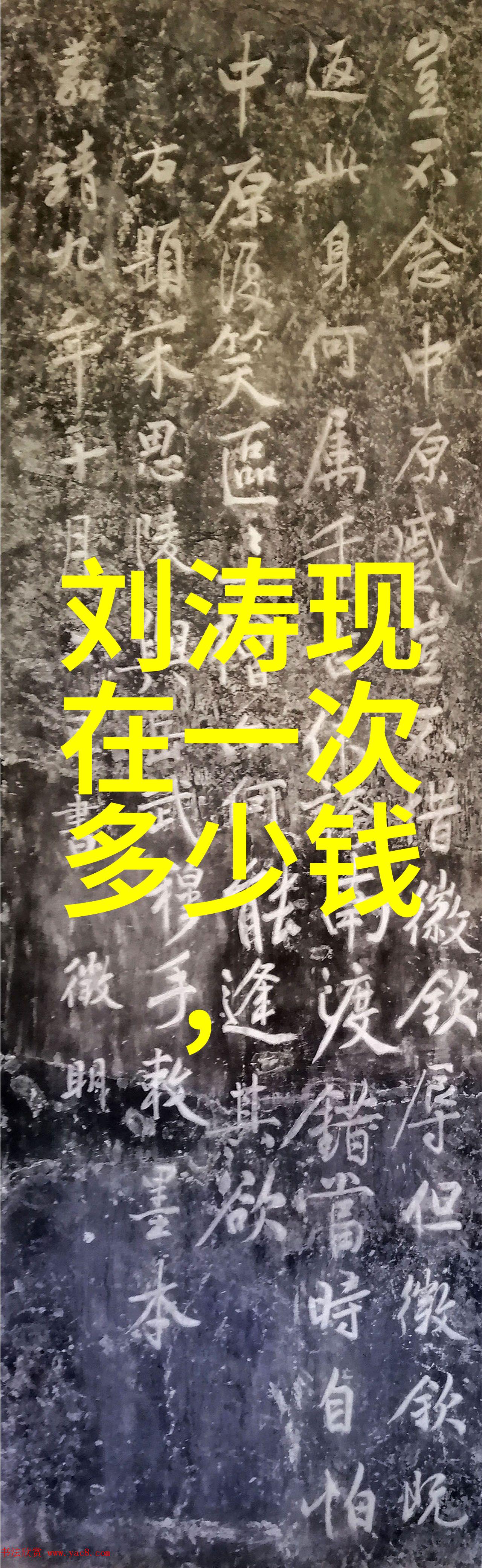 四位女星的魅力与风采群飞刘亦菲刘诗诗杨幂杨颖的独特魅力
