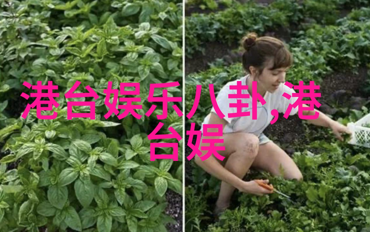 155岁高龄的长者生命之树的深度与广阔