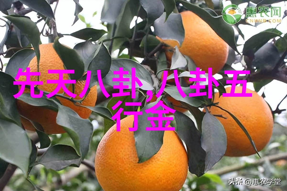 网红雪梨盛装亮相婚礼现场