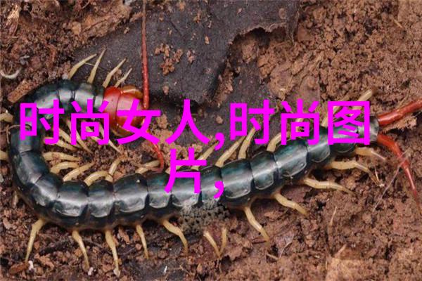 揭秘奇门遁甲如何运用古老的算命术解锁人生奥秘