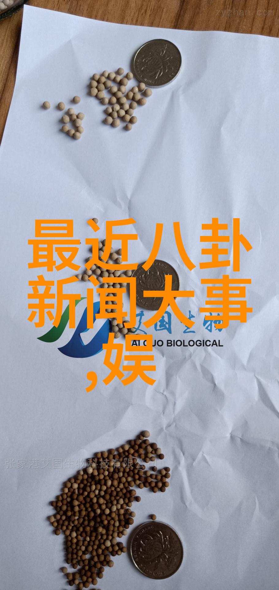 心动日本恋爱综艺的温柔魅力