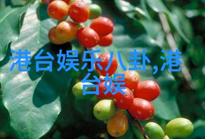 神秘电影影子之中