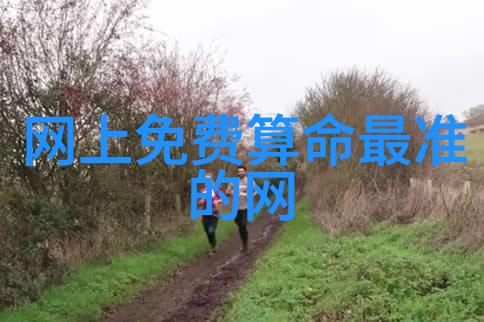 艳舞写真捕捉舞者光彩夺目的瞬间