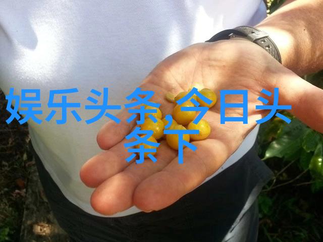 深度解析数字时代的新闻消费行为y阅头条平台及其对传统媒体影响的研究