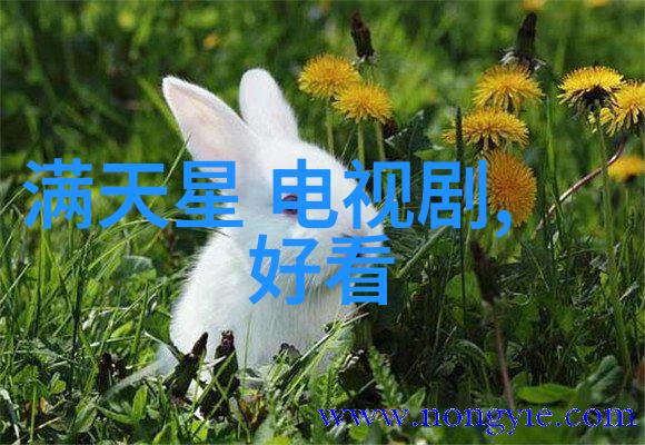 雪梨网红镜中花月下灯的秘密生活