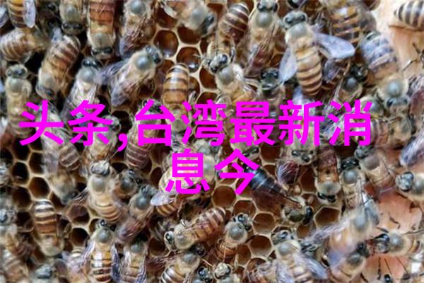 蓝月娱乐我在蓝月娱乐遇见了最难忘的夜晚