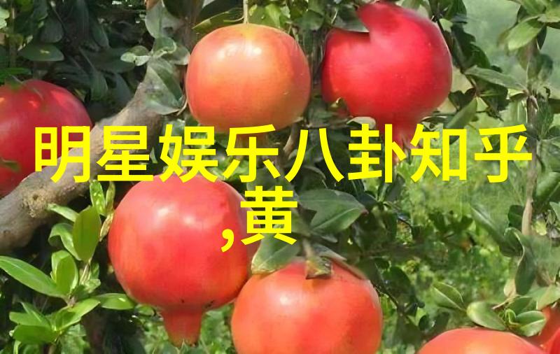 薛之谦在不同的电视台制作组中的表现有何区别和共同点呢