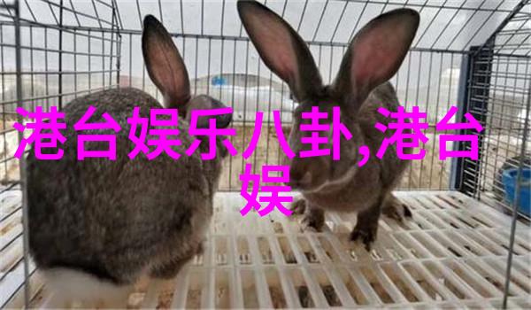 关晓彤美食梦想火锅加盟热潮苏宁星品孵化计划引领时尚味道