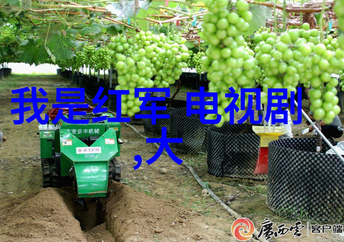傅诗淇背后的故事成毅为何改名的深层次探寻
