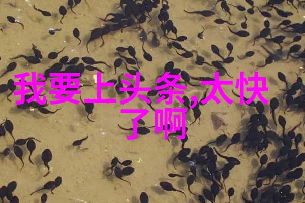 在数字时代emotion photography情感摄影是否能替代传统的情欲照