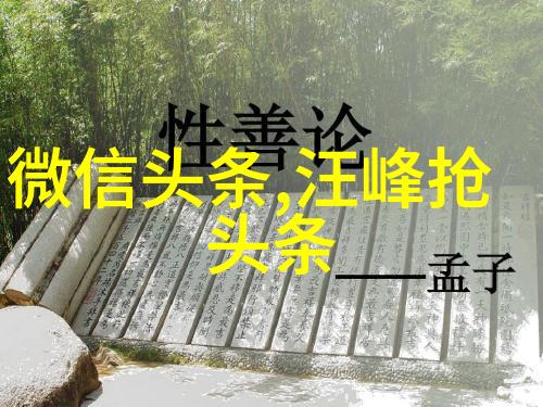 热门综艺文化现象及其对年轻观众价值观影响的探究