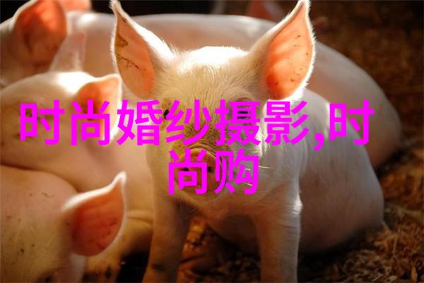民国公子背后的咸鱼真相娱乐圈的假少爷生涯