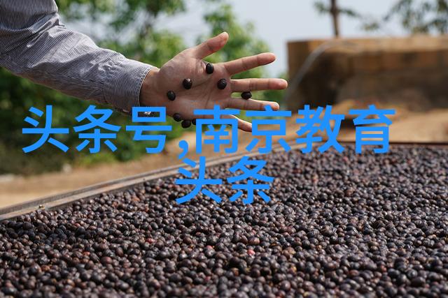 杨洋军艺校草的尽头是炊事班新剧特战荣耀开播白鹿电视剧中的他如何走向荣耀