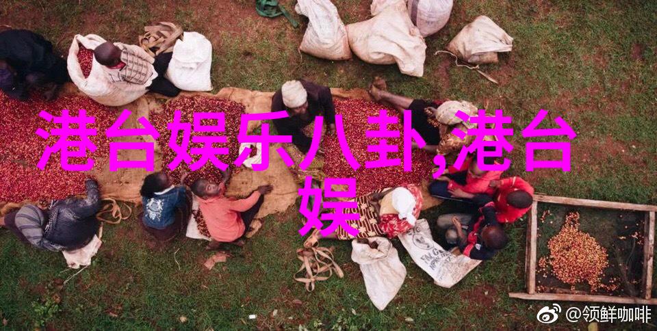 美女写真套图-摄影艺术捕捉时尚美的瞬间