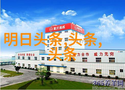 直播网红盛世最受欢迎的名人面孔与故事