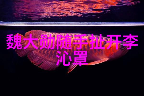 2021年最火的网红大汇总美食时尚与生活方式的新宠儿
