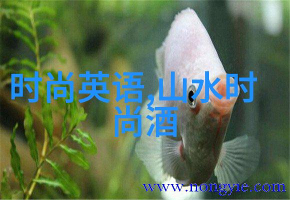 探索个人写真的最佳拍摄场地一种学术视角下的实证研究