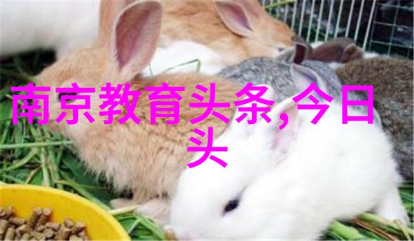 古迹游记一次数遍环球旅行寻访世界各处遗迹