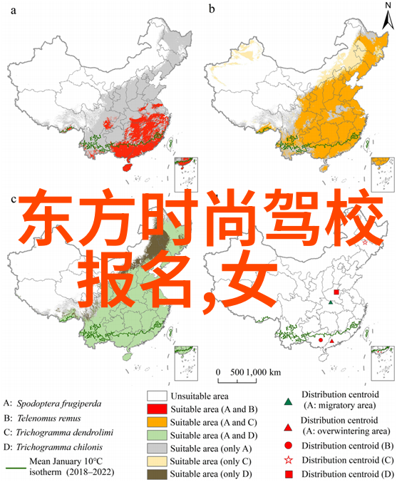 个人写真捕捉时尚魅力