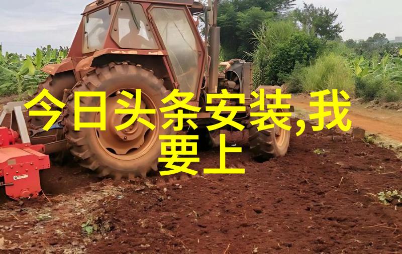 网红背后的真实之美镜头下的幻觉与生活中的真相