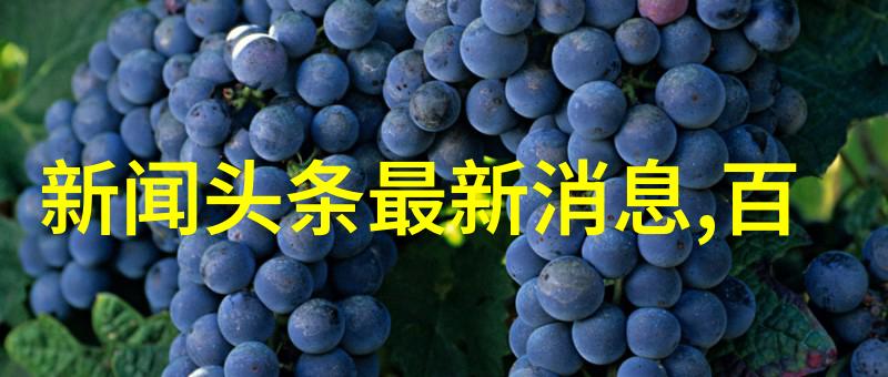 秋霞电影篮球冠军毒舌教练遭打脸引社会热议