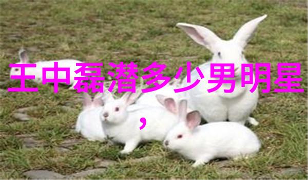 直播梦想轻触即飞的空降体验