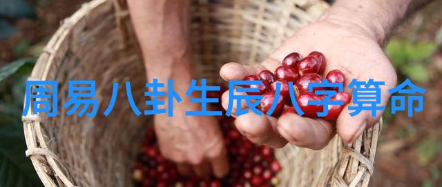 杨千嬅携老公与男友同行逛街乐融融老公醉酒颜面红晕脚步踉跃若漂浮盛望被江添直视泪水如泉涌头条文章激情洋