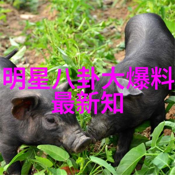 音乐大全300首免费听流行乐坛精选