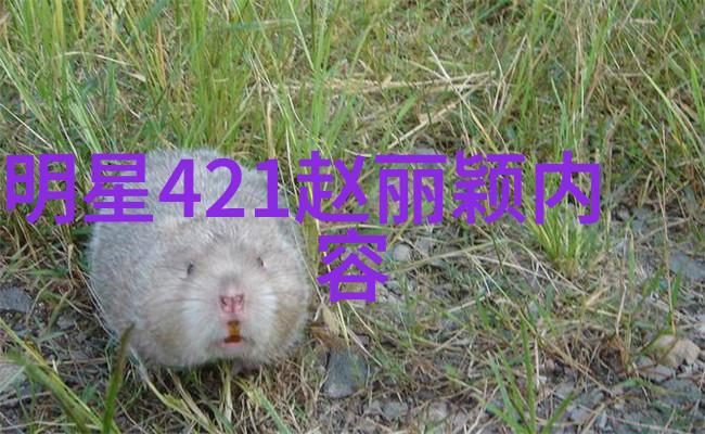 百度识图引领智能生活找相似图片的神奇之旅
