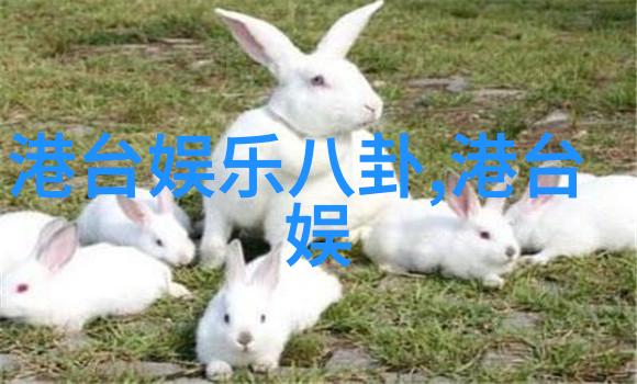 女主重生睡遍娱乐圈-逆袭之梦回明星娱乐圈女主的重生奇缘