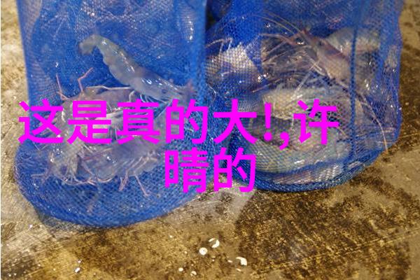 综艺喜乐汇精彩瞬间综艺节目中观众互动的欢乐时刻