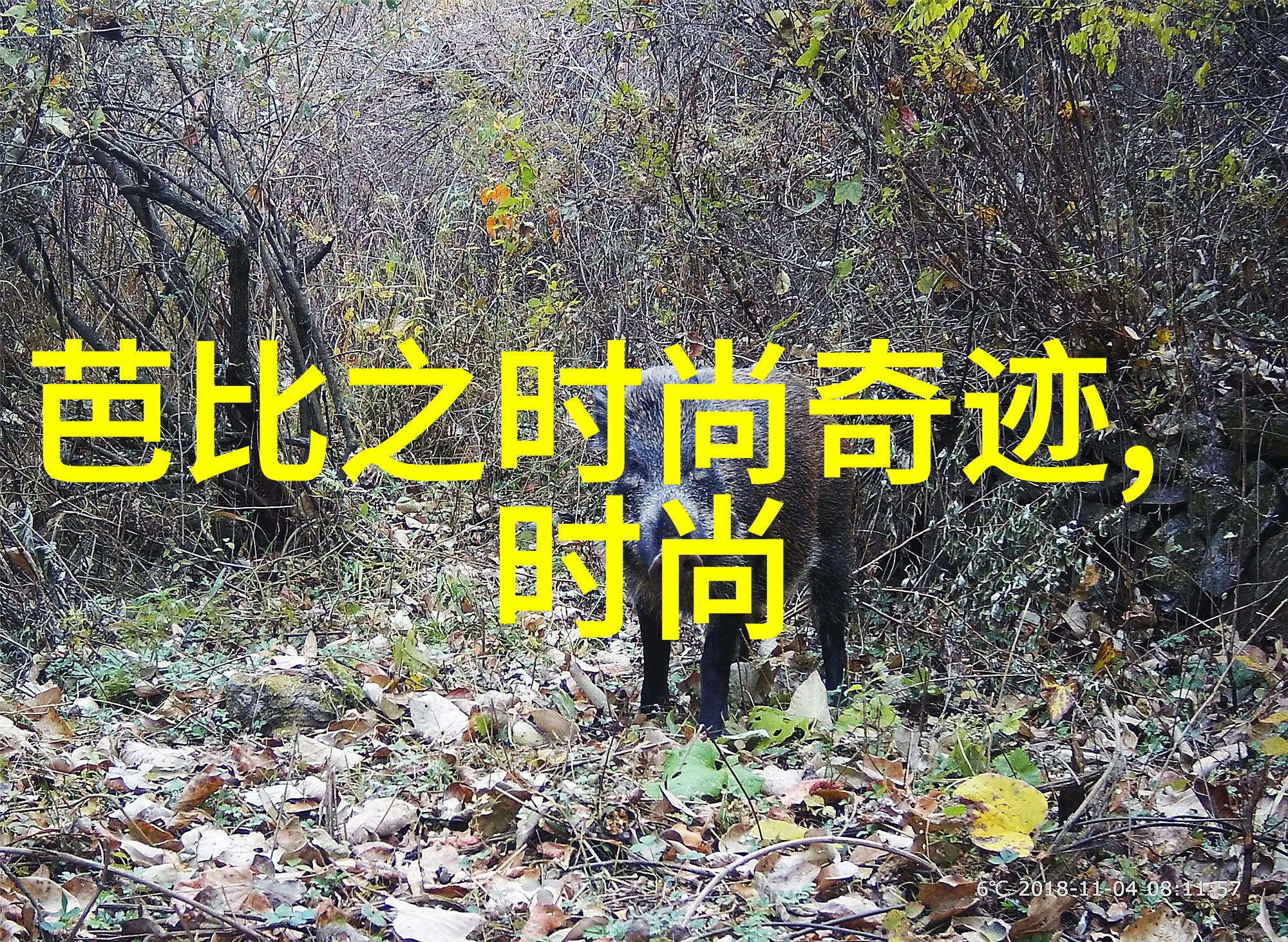 六十四卦背诵口诀读音易经学习神器