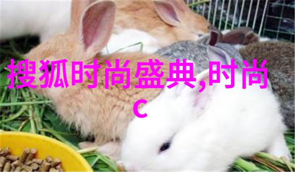 探索-大陆都有哪些未知的宝藏与未解之谜