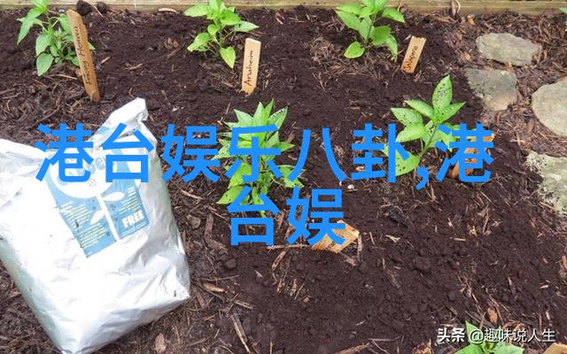 模特演员偶像剖析肖战在不同背景下的写真魅力