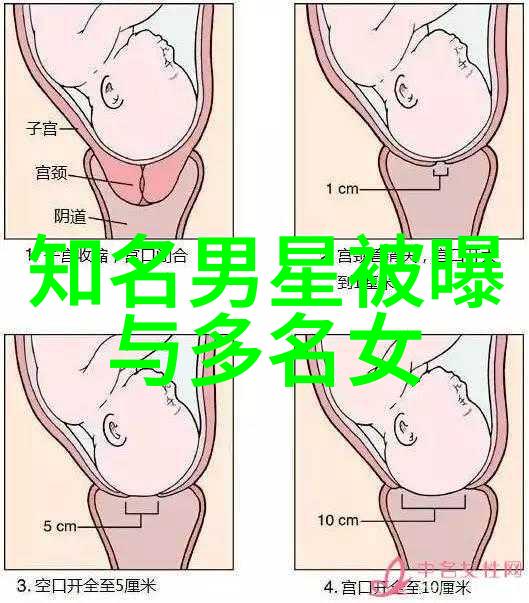 天干地支与八卦深奥对应关系古代中国文化中的天人合一探究