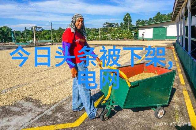 综艺巴士探索诗意中的燃疯狂增长知识的节目你不可错过