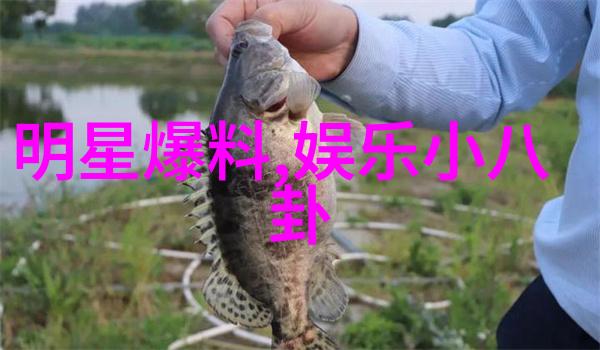 欧洲明星私密花园大乱斗美剧女星竟然偷摘了邻居的玫瑰