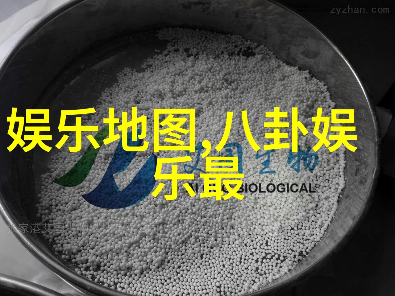 安徽综艺频道李诞吐槽张艺兴说了什么小绵羊这次是怎么回怼的