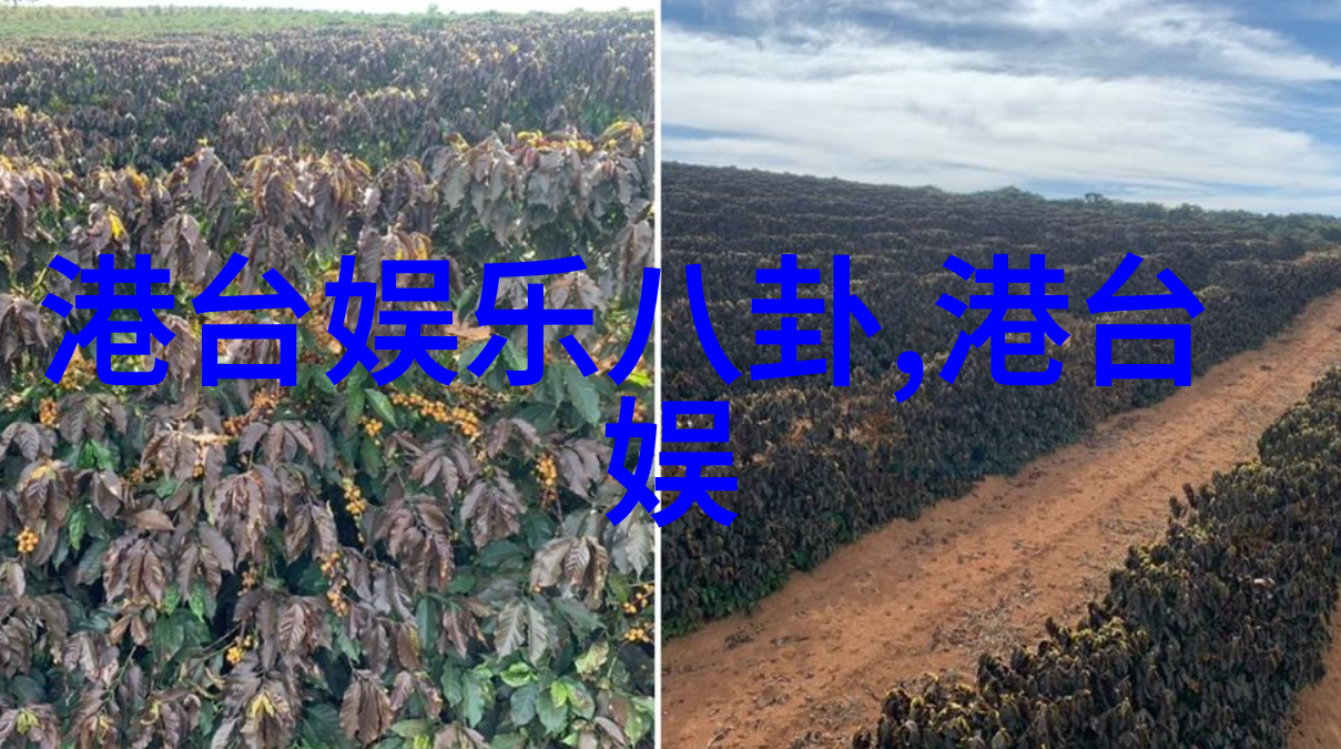 421pdf我是如何从一堆PDF文件中找出那份关键的421报告的
