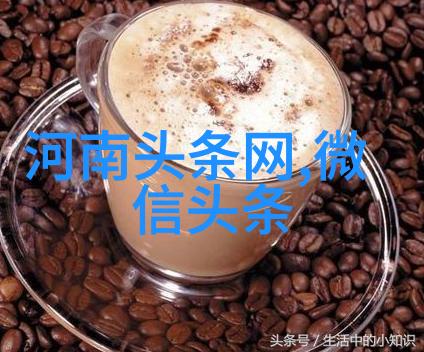 番茄影视大全 - 映像盛宴探索番茄平台的精彩作品