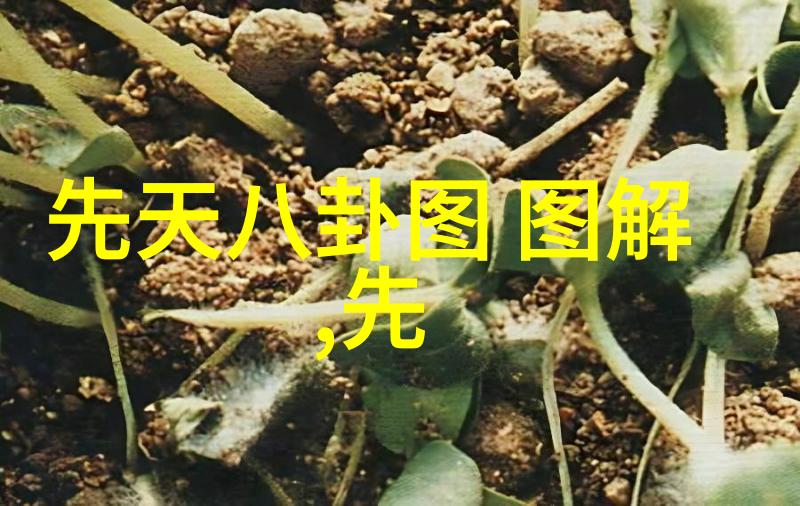 沉默的呼唤昏昏欲睡者的深层世界